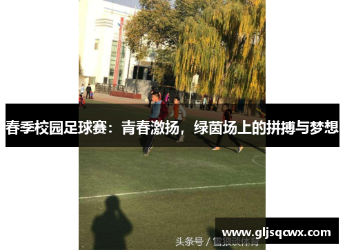 春季校园足球赛：青春激扬，绿茵场上的拼搏与梦想