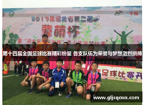 第十四届全国足球比赛精彩纷呈 各支队伍为荣誉与梦想激烈拼搏
